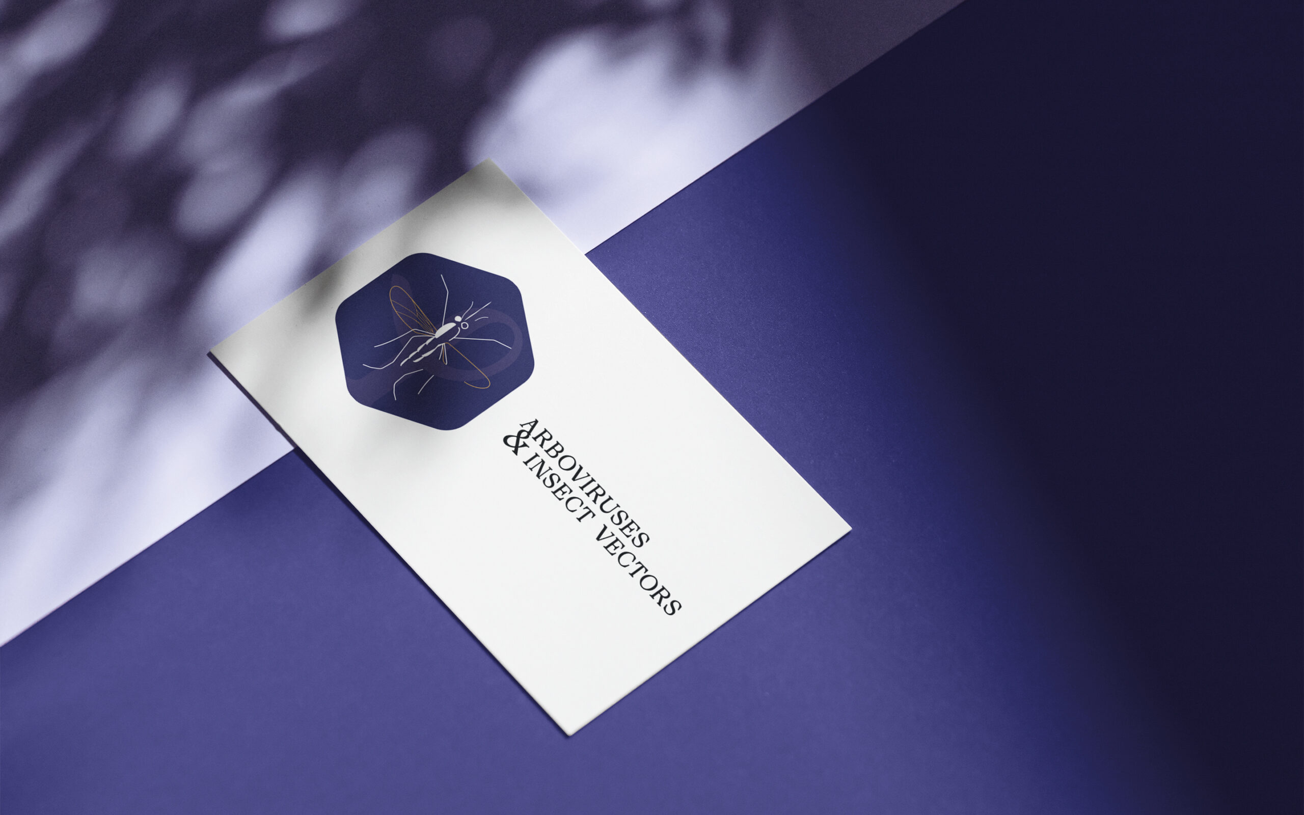 Hinanolab_2025_Arboviruses