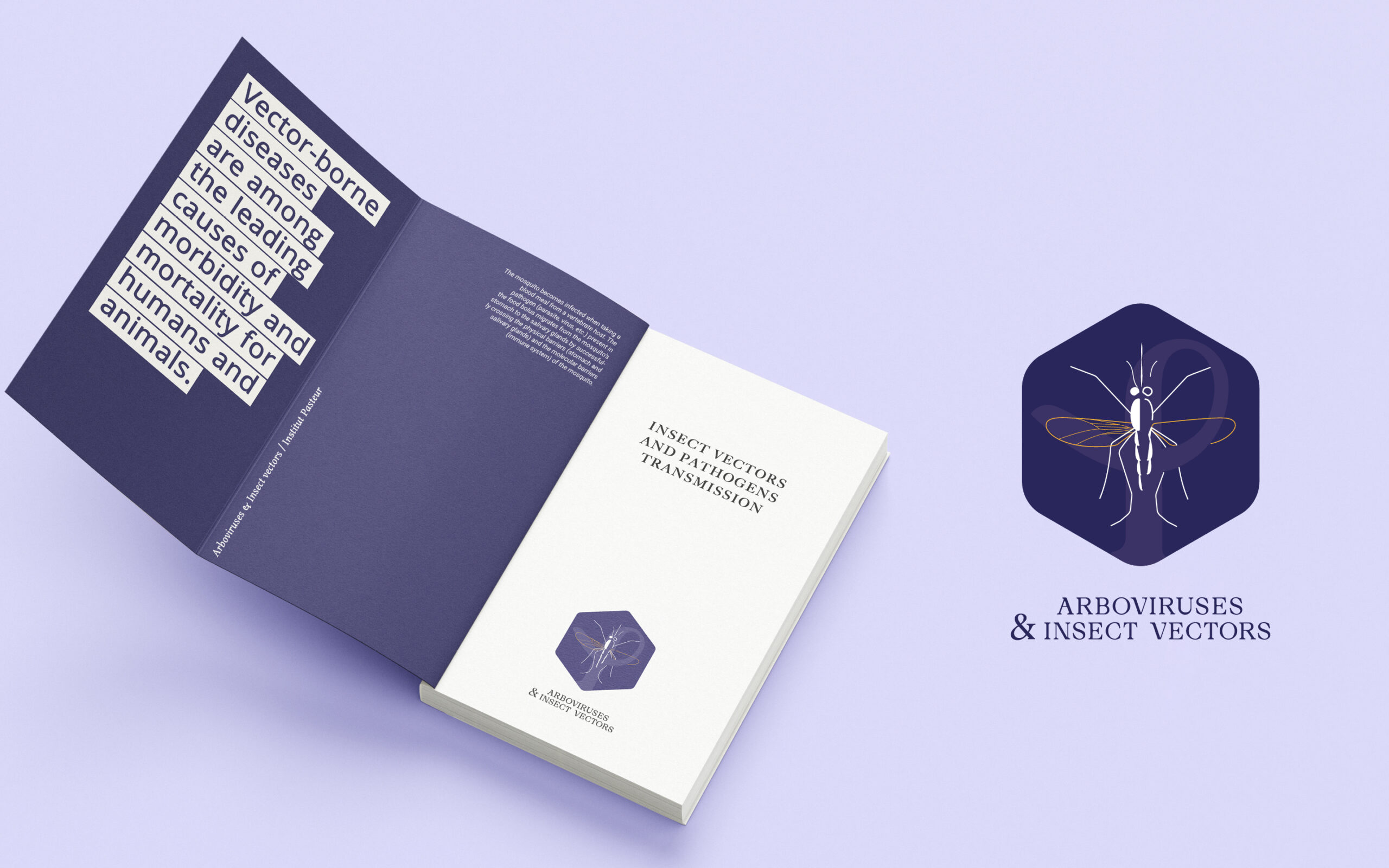 Hinanolab_2025_Arboviruses3