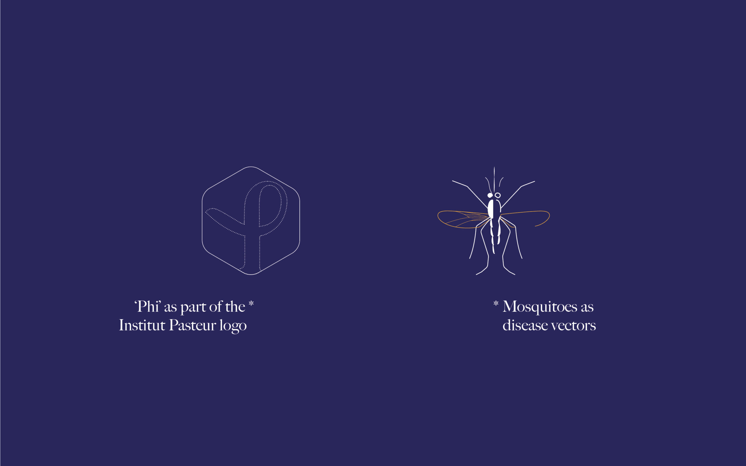 Hinanolab_2025__Arboviruses2