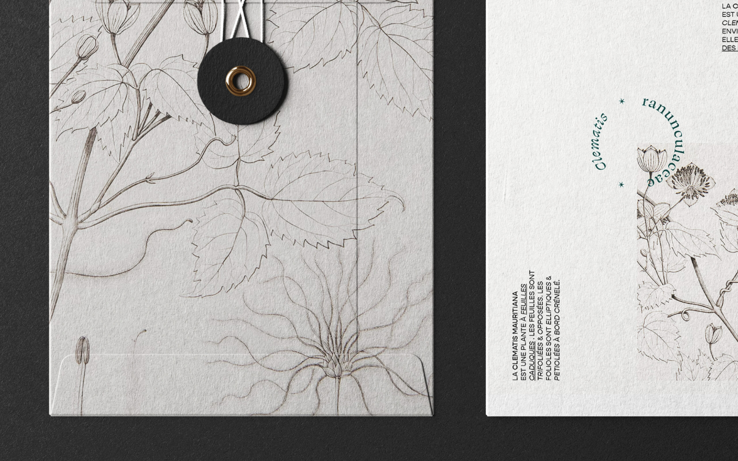 Hinanolab_2025_BotanyBT_5