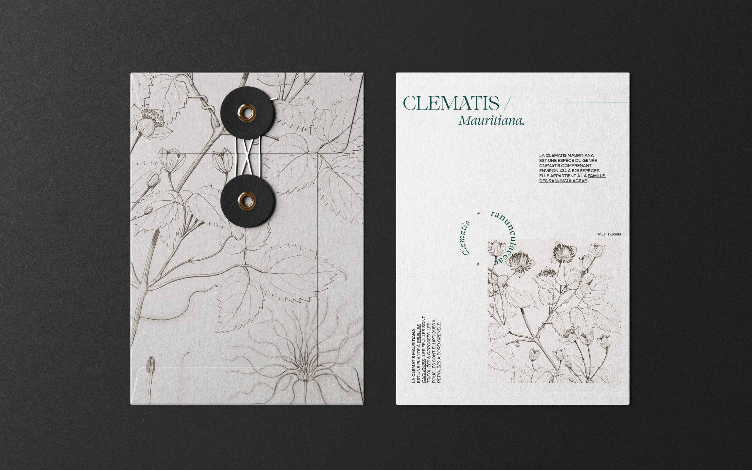 Hinanolab_2025_BotanyBT_6